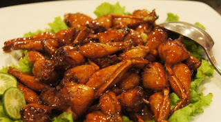 Manfaat dan Kandungan Gizi Dari Daging Kodok