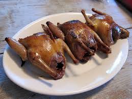 Manfaat dan Kandungan Gizi Dari Daging Merpati