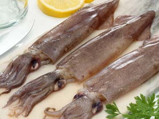 Manfaat dan Kandungan Gizi Dari Ikan Sotong