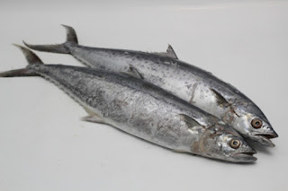 Manfaat dan Kandungan Gizi Dari Ikan Tenggiri