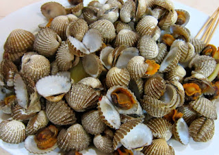 Manfaat dan Kandungan Gizi Dari Kerang Darah