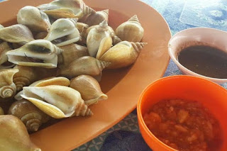 Memasak sendiri Siput gonggong Yuk Coba Resepnya